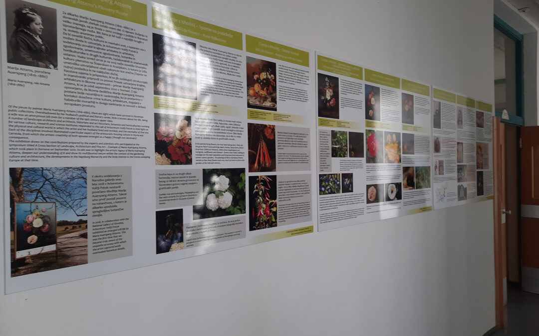 Cvetoča pot v Kamniku