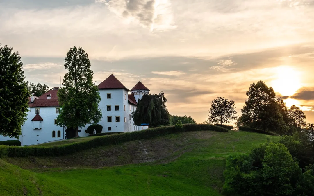 Javno zbiranje ponudb za prenovo in vzdrževanje spletne strani
