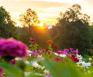 na-vrtovih-2 Dobimo se na vrtovih