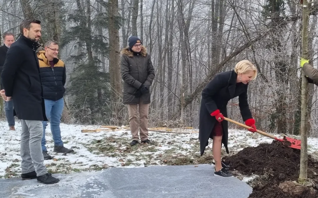 Posaditev lipe v parku gradu Bogenšperk