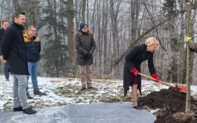 Posaditev lipe v parku gradu Bogenšperk