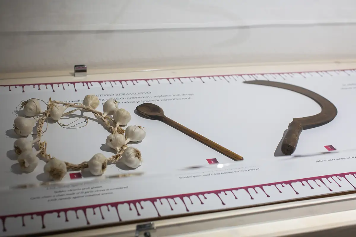 Otvoritev razstave-20