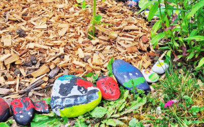 Barvitost v grajskem vrtu