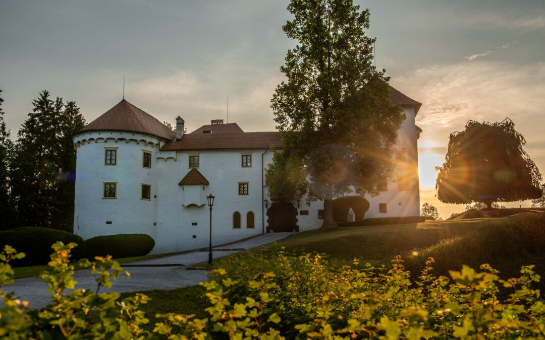 Regijska fotografska razstava v Tivoliju v Ljubljani