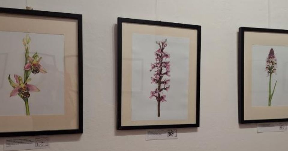 Mesta premostitev s klančinami v atriju gradu Bogenšperk Bogenšperk Jelka Jantol